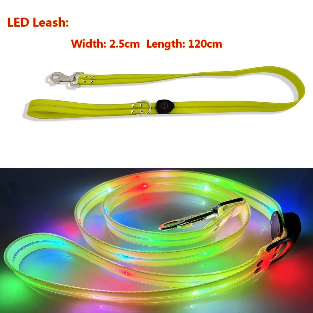 LED Light UP Leash USB oplaadbaar PVC met gloeiende band