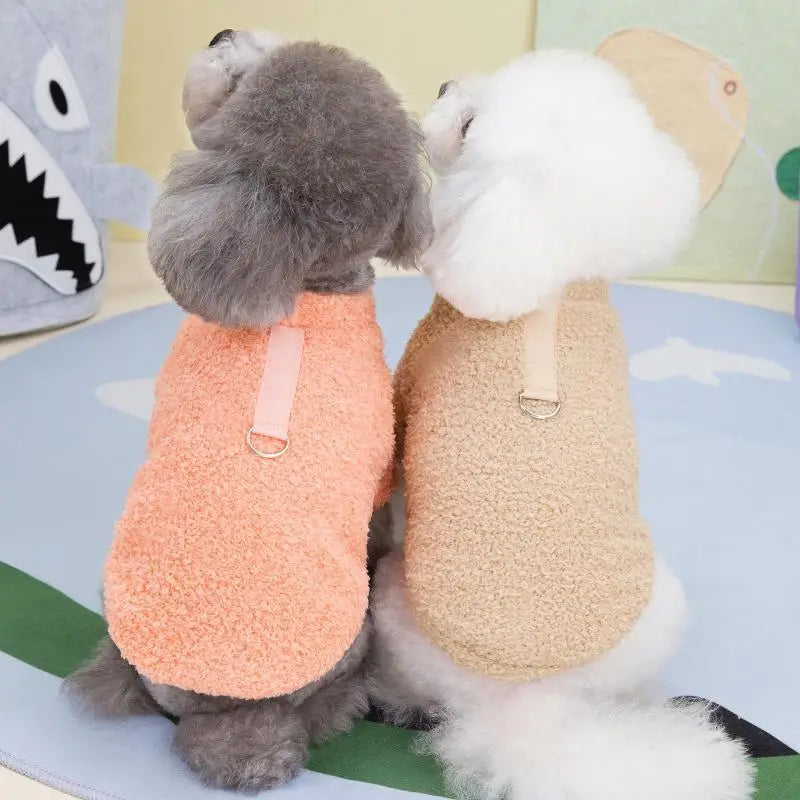 Warm Teddy Sweater Pastel Color