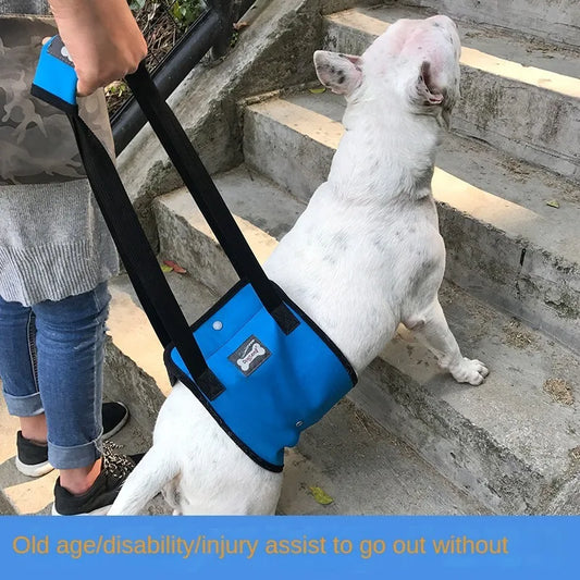 Ouderdom hond wandelen/Huisdier Lift Harnas Walk Aid Sling Rehabilitatie Buik Ledematen Ondersteuning Riem voor Hulp Oudere Zwakke Letsel honden